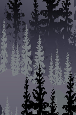 NIGHT IN THE MOUNTAINS Ski Wraps