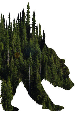 BEAR of TREES Digital photo art design. Taken near Mt Hood in Northwest Oregon. Bear of Trees Photo Art Print by Steve and Dalton Lovitt of SQUATCH Industries. Bear print available on White on Maroon Graphic Tee. Available in 11x14 print.