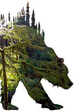 BEAR of OLYMPIC FOREST. Digital photo art design.  One a very wet day hiking through the Olympic National Park through the rain forest we got this shot when the sun came out through the clouds .