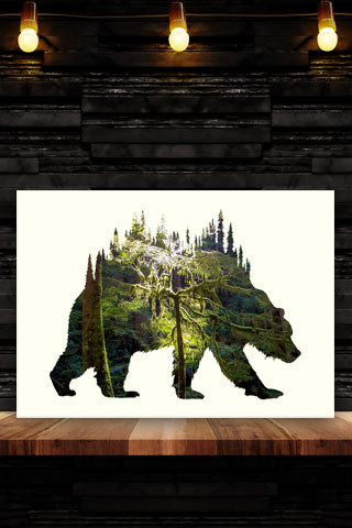 BEAR of OLYMPIC FOREST. Digital photo art design.  One a very wet day hiking through the Olympic National Park through the rain forest we got this shot when the sun came out through the clouds .