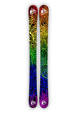 SPRIAL FERN Ski Wraps original digital photo graphic print.