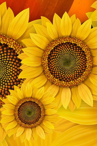 SUNFLOWER.  Sunflowers ski wraps don't get much brighter then this just like the summer and sun shine they thrive on.  Let this set bring some bright colors and sunshine to your skiing.    Two wraps per set.   Size:   Large:  73”H x 6”W -  187cm x 15cm            $62.95  Small:  60”H x 5”W -  152.5cm x 10.2cm     $50.00
