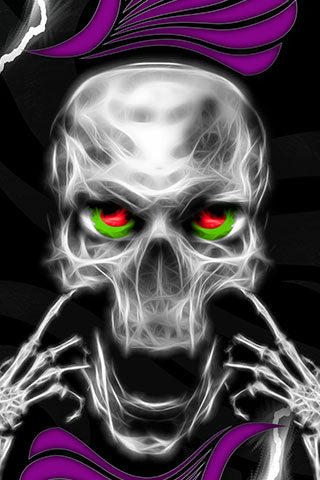 SKULL and WINGS Snowboard wrap original digital print.