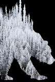 BEAR of FROSTED TREES. Digital photo art design.  Trees covered with frost in the Cascades in south east Washington are framed in the great Grizzly Bear. Original photo taken at Satus Pass Washington one of your great Adventures.