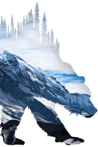 BEAR of MT RAINIER. Digital photo art design.  Hiking from Sunrise you hike up to the First, Second and Third Burroughs where you look over at the Emmons and Winthrop Glacier and of course, this photo of beautiful Mt Rainier.  A great hike and a great adventure.