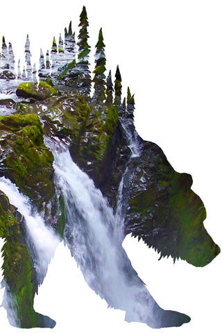 BEAR of SOL DUC FALLS. Digital photo art design.  One a very wet day hiking through the Olympic National Park through the rain forest we got this shot of Sol Duc Falls .  You can't help but stop and take in the beauty of the surrounding forest that frame the beauty of the falls. A very wet hike and a great outdoor adventure.
